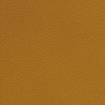 georgia bulldogs uga