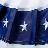 Evergreen Patriotic Bunting, Medium, Set of 2 - 3 of 3