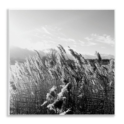 Stupell Industries Tall Grass Lake Water Landscape, 12" x 12"