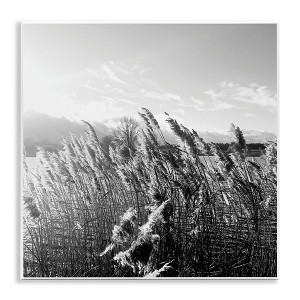 Stupell Industries Tall Grass Lake Water Landscape, 12" x 12" - 1 of 4