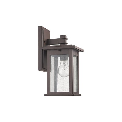 Transitional Seedy Glass & Bronze 13" Outdoor Wall Sconce