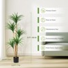 Artificial Dracaena Tree – Realistic Faux Indoor Plant with Adjustable Leaves, Lifelike Greenery - 4 of 4