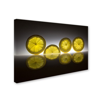 Trademark Fine Art -Wieteke de Kogel 'Lemon' Canvas Art