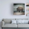 Trademark Fine Art -Jai Johnson 'Stormy Day Buffalo' Canvas Art - 2 of 4