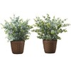 Artificial Plant, 13" Tall, Eucalyptus Grass, Indoor, Faux, Fake, Table, Greenery, Potted, Set Of 2, Decorative, Green Leaves, Brown Pots - 3 of 4