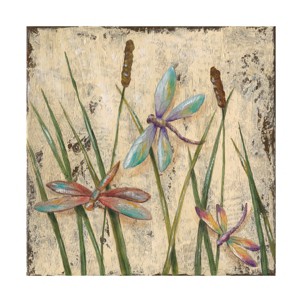 Jade Reynolds Dancing Dragonflies I Outdoor Canvas Art - 1 of 4