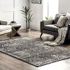 Nuloom Arlena Vintage Traditional Indoor Area Rug - 2 of 4