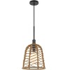 Cal Parkton 60W Metal Pendant with Burlap Roped Shade - 3 of 4