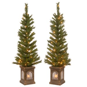 2ct 4' Prelit Lehigh Valley Pine Artificial Christmas Entrance Trees Clear Lights - National Tree Company - 1 of 4
