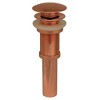 ALFI Decorative Pop-up Mushroom Drain with Overflow - 3 of 3