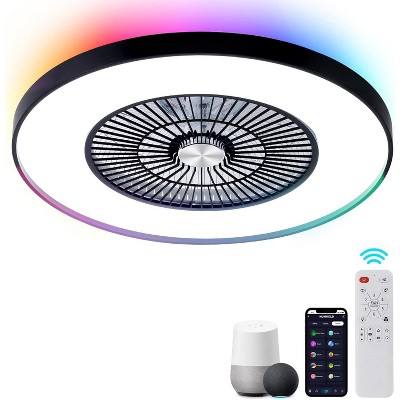 HUMHOLD 24 Inch Smart Modern Ceiling Fan with Lights and Remote/APP Control