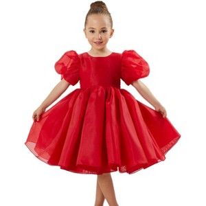 2Bunnies Girls' Organza Puff Sleeve Babydoll Fit & Flare Dress - 1 of 4