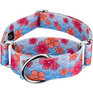 Country Brook Petz HossFit Jr Wide Martingale Dog Collar - Spring Collection - 1 of 4