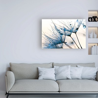 Mystic Blue Dandelion Water Droplets Canvas Print 30x47