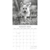 2026 Square Wall Calendar, Mutts, 16-Month Humor Theme with 180 Reminder Stickers (12x12 In) - 3 of 4