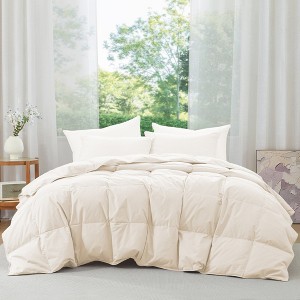 Puredown Lightweight & All-Season Organic Cotton Down Fiber Comforter, Duvet Insert Perfect for Year-Round Use - 1 of 4