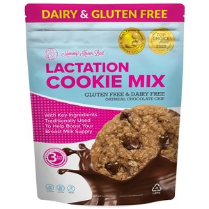 Lactation Cookie Mix - Gluten/Dairy Free - Chocolate Chip - 16oz - 1 of 4