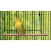 Prevue Pet Products Patio Perch for Bird Cage 360 - 2 of 3