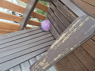 Guest review image 1 of 4, zoom in