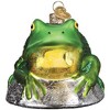 Old World Christmas Blown Glass Ornament for Christmas Tree, Bull Frog - 3 of 4