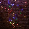 LumaBase Battery-Operated Multi-Strand Fairy String Lights, Multicolor - Set of 2 - 2 of 4