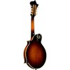 Kentucky KM-1500 Master F-Style Mandolin Vintage Sunburst - 4 of 4