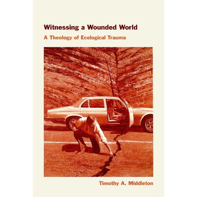 Witnessing a Wounded World - by Timothy Middleton