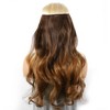 Unique Bargains Women's Big Wavy Hair Extensions High Temperature Fiber Gradient Brown 1 Pc - 2 of 3