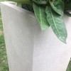 Rosemead Home & Garden, Inc.14" Wide Square Concrete/Fiberglass Modern Indoor/Outdoor Planter Weathered Gray - 4 of 4