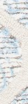 ivory/blue
