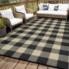 Black and white - 9*12 feet  Outdoor Area Rug Plastic Waterproof  Stain Resistant Checkered Reversible Light Weight Portable Mat UV Resistant Carpet - 2 of 4