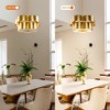 Parrot Uncle 19.7" Modern Gold 5-Light Chandelier Adjustable Ceiling Light - 3 of 4