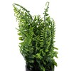 Unique Bargains Artificial Plants 4 Basin Combination Indoor Plastic Black 2.64"x2.64"x6.69" 1 Pc - 4 of 4