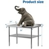 Commercial Kitchen Work Table with Adjustable Undershelf, Heavy Duty Prep Table for Home, Restaurant, Hotel, Stainless Steel - 2 of 4