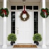 poetree 2ft/2.3ft Artificial Cedar Topiary Ball Tree in Pot,Faux tree for Outdoor&Indoor decor,Set of 2 - 2 of 4