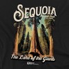 Men's Sequoia National Park The Land of Giants Crewneck Sweatshirt - 2 of 4