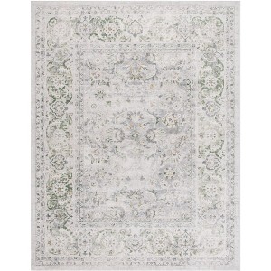 Palma PAM326 Power Loomed Indoor Rugs - Safavieh - 1 of 4
