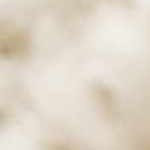 light brown, charcoal, gray, medium gray, medium brown