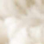 light brown, charcoal, gray, medium gray, medium brown