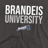 Men's Brandeis University Official Stacked T-Shirt - 2 of 4