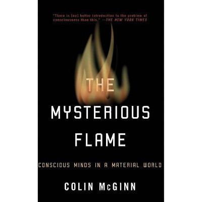 The Mysterious Flame - by  Colin McGinn (Paperback)