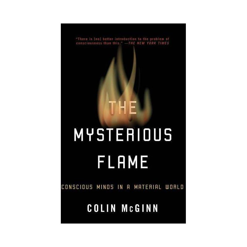 The Mysterious Flame - by  Colin McGinn (Paperback), 1 of 2