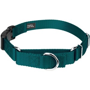 Country Brook Petz Heavy Duty Nylon Martingale Dog Collar with Deluxe Buckle - 30+ Vibrant Color Options - 1 of 4