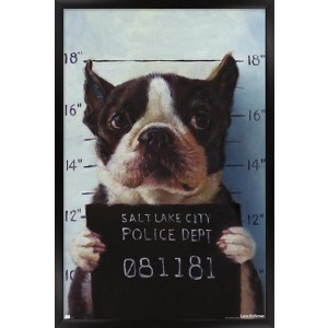 Trends International Lucia Heffernan Art - Boston Mug Shot Framed Wall Poster Prints - 1 of 4