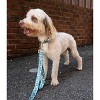 Country Brook Petz Premium Dog Collar - Tasty Collection - 2 of 4