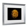 Trademark Fine Art - Brian Carson Backyard Flowers 58 Matted Framed Art - image 3 of 4