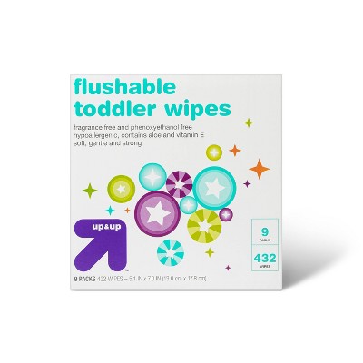 Toddler and Family Flushable Unscented Wipes - 432ct - up & up™