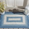 Braided BRD311 Machine Washable UV & Stain Resistant Non-Shedding Hand Woven Indoor/Outdoor Rugs - Safavieh - 2 of 4