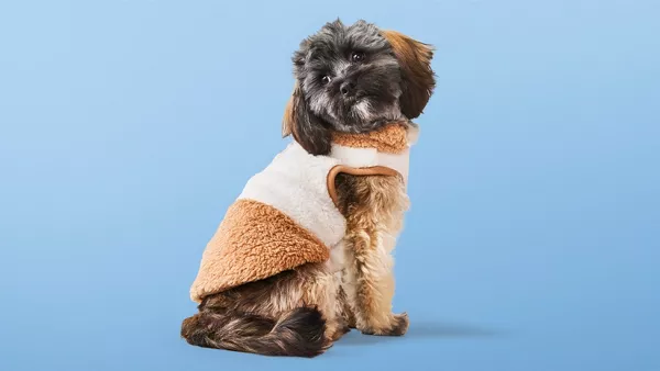 Pet Supplies Target