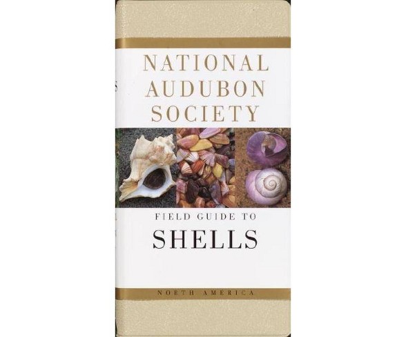 National Audubon Society Field Guide to North American Seashells - (Paperback)
